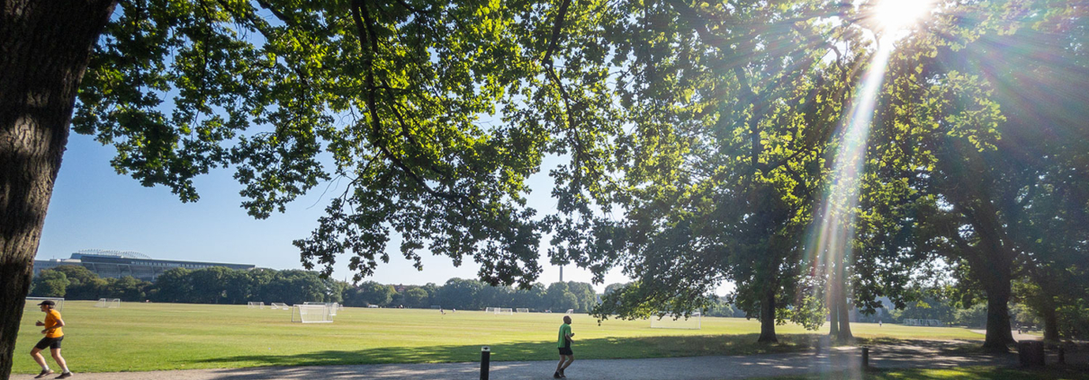 Personer der løber i Fælledparken i København. Det er sommer og der er varmt.